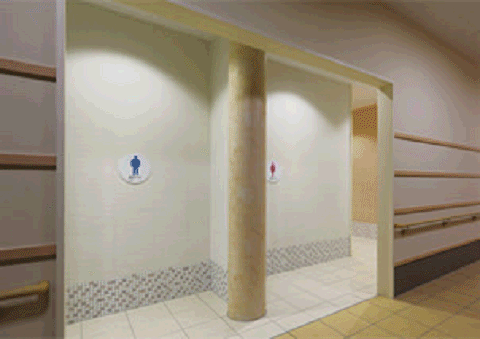 エコカラット　シルクリーネの写真　パブリックトイレ